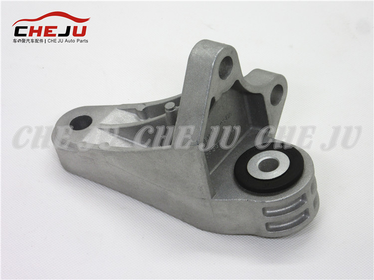 BV61-6P096 duae HA,